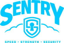 Sentry Cloud IT logo